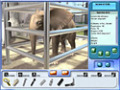 Téléchargement gratuit du Jeu Zoo Vet 2: Endangered Animals
