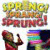 Plus d'Information sur le jeu Spring, Sprang, Sprung